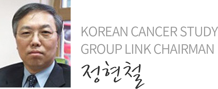 정현철 교수
