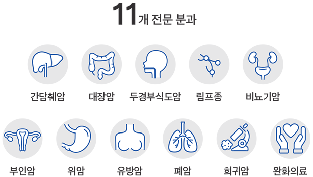 11개 전문 분과 : 간담췌암,대장암,두경부식도암,림프종,비뇨기암,부인암,위암,유방암,폐암,희귀암,완화의료